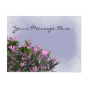Pink Flower Bush Postcards