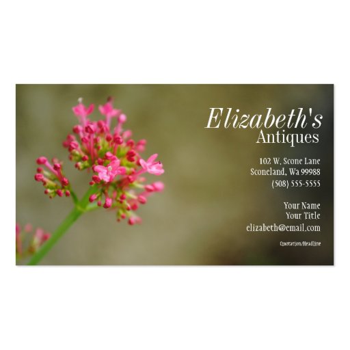 Pink Flower Business Card (front side)