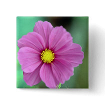 Pink Flower buttons