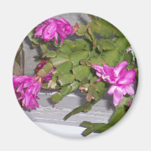 Pink Flower Cactus Magnet