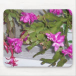 Pink Flower Cactus Mouse Pads