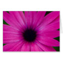 pink flower cards by cardart pink flower cards