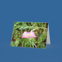 Pink Flower cards
