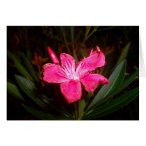 Pink Flower cards