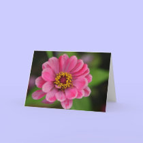 pink flower cards by cardart pink flower cards