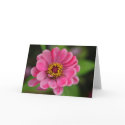 pink flower cards by cardart pink flower cards
