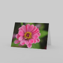 pink flower cards by cardart pink flower cards