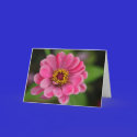 pink flower cards