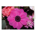 pink flower cards by bkang22 pink flower cards