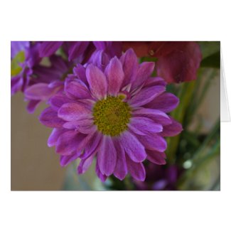 Pink flower card-Any Occasion card