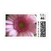 Pink Flower Close Up Big Flower stamp
