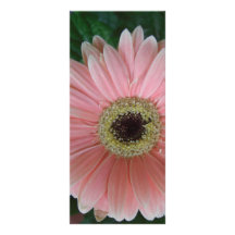 pink flower custom rack cards