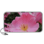 Pink Flower Doodle Speaker