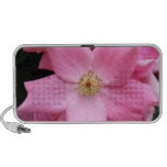 Pink Flower Doodle Speaker