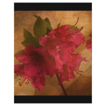 Pink Flower Full Color Flyer