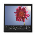 Pink Flower Glory Magnet by janoka Pink Flower Glory Magnet