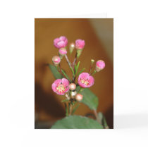 Pink Flower Greeting Card by GlamSorbet Pink Flower Greeting Card