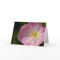 Pink Flower Greeting Card