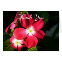 Pink Flower cards