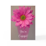 engagement, daisy, daisies, engaged,