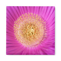 Pink Flower Magnet