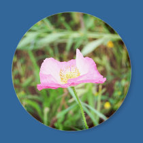 Pink Flower magnets by Liquid_Plaid Pink Flower magnets