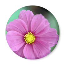 Pink Flower magnets