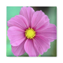 Pink Flower magnets