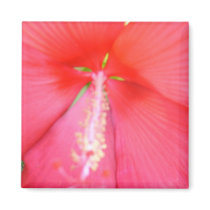 pink flower magnet