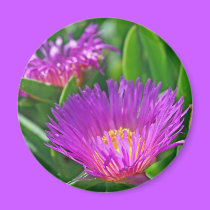 pink flower magnets
