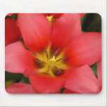 Pink Flower Mousepad mousepads