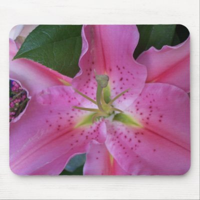Pink Flower Mouse Pad