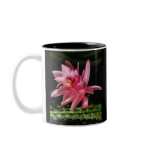 Pink Flower mugs