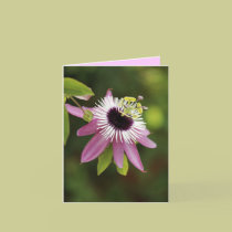 Pink Flower Note Cards