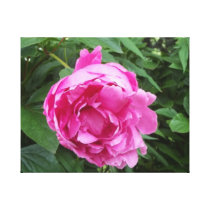 Pink flower of love canvas prints