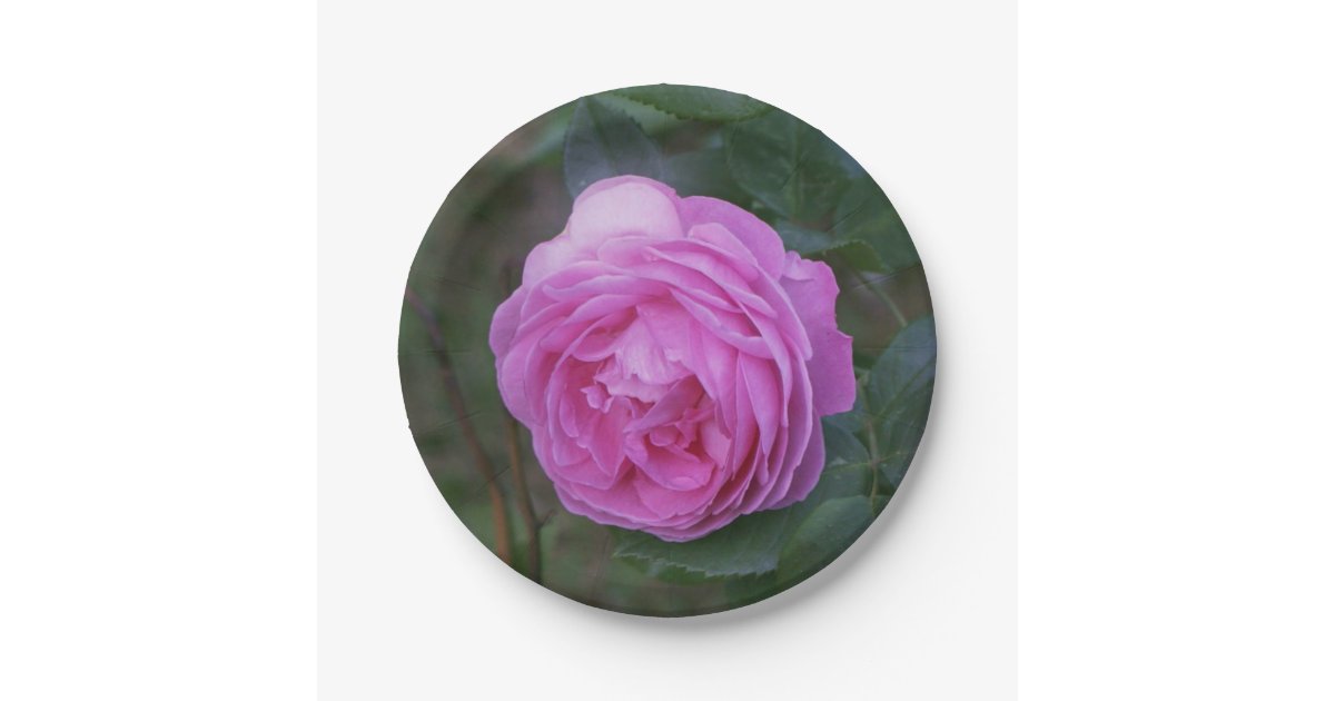 pink flower paper plate zazzle pink flower paper plates