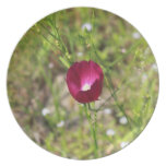 Pink Flower Plate