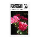 Pink Flower postage
