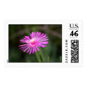 Pink Flower postage