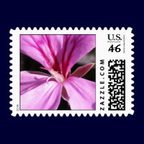 Pink Flower stamps