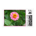 pink flower postage by DonnaGrayson_Photos pink flower postage