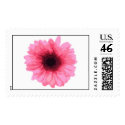 Pink Flower postage