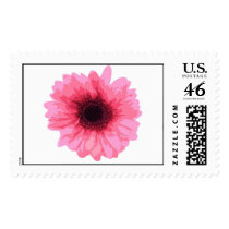 Pink Flower postage