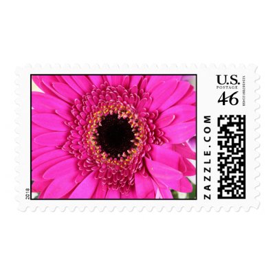 PINK FLOWER STAMPS