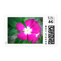 Pink Flower Postage