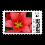 Pink Flower Postage Stamp stamps