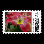 Pink Flower Postage Stamp stamps