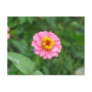 pink flower
