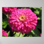 PINK FLOWER PRINT