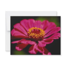 Pink Flower Power invitations by SacredExpressions Pink Flower Power invitations